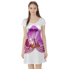 Lilac Phalaenopsis Aquarel  Watercolor Art Painting Short Sleeve Skater Dress