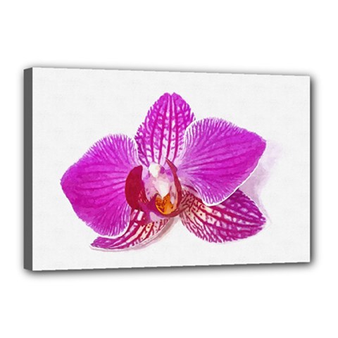 Lilac Phalaenopsis Flower, Floral Oil Painting Art Canvas 18  X 12  by picsaspassion