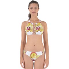 Yellow Phalaenopsis Flower, Floral Aquarel Watercolor Painting Art Perfectly Cut Out Bikini Set by picsaspassion