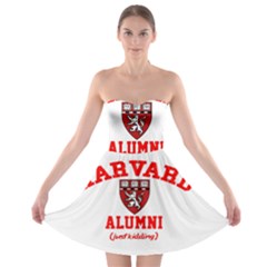 Harvard Alumni Just Kidding Strapless Bra Top Dress by Celenk