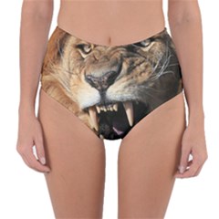 Male Lion Angry Reversible High-waist Bikini Bottoms