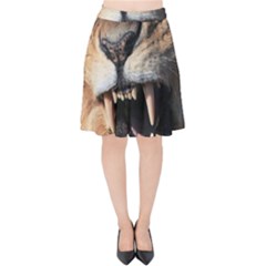 Male Lion Angry Velvet High Waist Skirt by Celenk