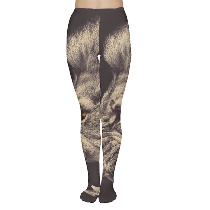 Angry Male Lion Women s Tights