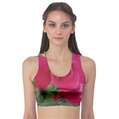 Romantic Red Rose Photography Sports Bra by yoursparklingshop