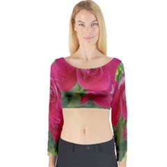 Romantic Red Rose Photography Long Sleeve Crop Top by yoursparklingshop