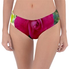 Romantic Red Rose Photography Reversible Classic Bikini Bottoms by yoursparklingshop
