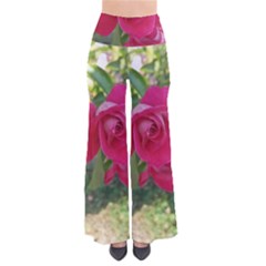 Romantic Red Rose Photography Pants by yoursparklingshop