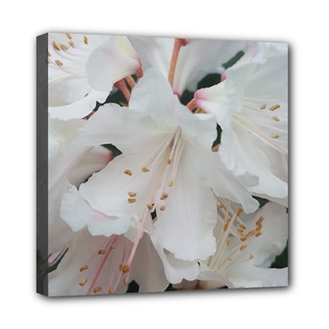 Floral Design White Flowers Photography Mini Canvas 8  X 8  by yoursparklingshop