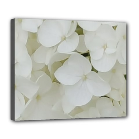 Hydrangea Flowers Blossom White Floral Elegant Bridal Chic Deluxe Canvas 24  X 20   by yoursparklingshop
