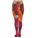 Floral Photography Orange Red Rose Daisy Elegant Flowers Bouquet Women s Tights View1