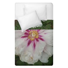Floral Soft Pink Flower Photography Peony Rose Duvet Cover Double Side (single Size)
