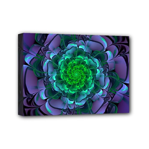 Beautiful Purple & Green Aeonium Arboreum Zwartkop Mini Canvas 7  X 5  by jayaprime