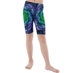 Beautiful Purple & Green Aeonium Arboreum Zwartkop Kids  Mid Length Swim Shorts by jayaprime