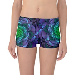 Beautiful Purple & Green Aeonium Arboreum Zwartkop Reversible Boyleg Bikini Bottoms by jayaprime