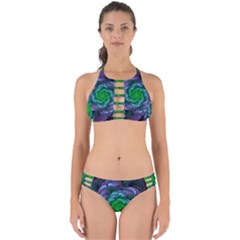 Beautiful Purple & Green Aeonium Arboreum Zwartkop Perfectly Cut Out Bikini Set by jayaprime