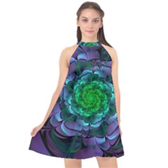 Beautiful Purple & Green Aeonium Arboreum Zwartkop Halter Neckline Chiffon Dress  by jayaprime