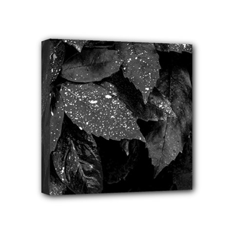 Black and White Leaves Photo Mini Canvas 4  x 4 