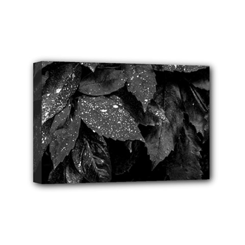 Black and White Leaves Photo Mini Canvas 6  x 4 