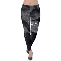 Black And White Leaves Photo Velvet Leggings by dflcprintsclothing