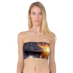 Beautiful Orange Star Lily Fractal Flower At Night Bandeau Top by jayaprime