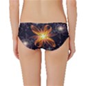 Beautiful Orange Star Lily Fractal Flower at Night Classic Bikini Bottoms View2