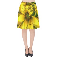 Beautiful Yellow-green Meadow Of Daffodil Flowers Velvet High Waist Skirt by jayaprime