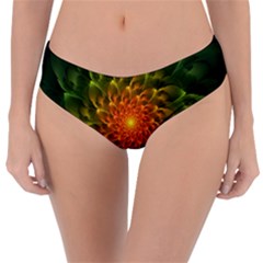 Beautiful Orange-green Desert Cactus Fractalspiral Reversible Classic Bikini Bottoms by jayaprime