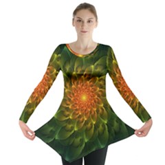 Beautiful Orange-green Desert Cactus Fractalspiral Long Sleeve Tunic  by jayaprime