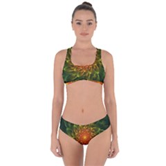 Beautiful Orange-green Desert Cactus Fractalspiral Criss Cross Bikini Set by jayaprime