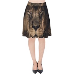 African Lion Mane Close Eyes Velvet High Waist Skirt