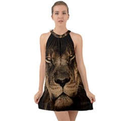 African Lion Mane Close Eyes Halter Tie Back Chiffon Dress by Celenk