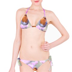 Spring Bird Bird Spring Robin Bikini Set by Celenk