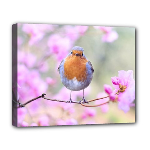 Spring Bird Bird Spring Robin Deluxe Canvas 20  X 16   by Celenk