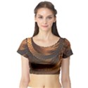 Brown, Bronze, Wicker, and Rattan Fractal Circles Short Sleeve Crop Top View1