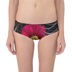 Fantasy Flower Fractal Blossom Classic Bikini Bottoms