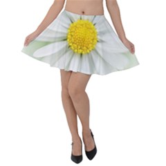 Art Daisy Flower Art Flower Deco Velvet Skater Skirt by Celenk