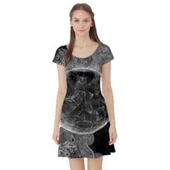 Space Universe Earth Rocket Short Sleeve Skater Dress