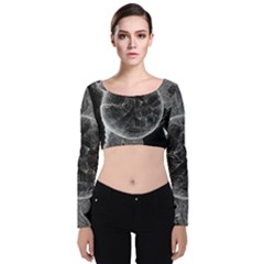 Space Universe Earth Rocket Velvet Long Sleeve Crop Top by Celenk