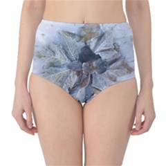 Winter Frost Ice Sheet Leaves High-waist Bikini Bottoms by Celenk