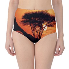 Africa Safari Summer Sun Nature High-waist Bikini Bottoms by Celenk