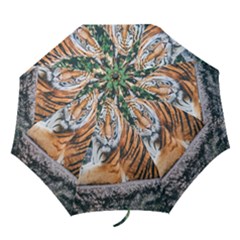 Animal Big Cat Safari Tiger Folding Umbrellas by Celenk