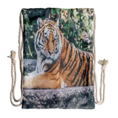 Animal Big Cat Safari Tiger Drawstring Bag (large) by Celenk