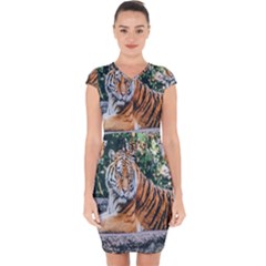 Animal Big Cat Safari Tiger Capsleeve Drawstring Dress  by Celenk