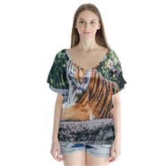 Animal Big Cat Safari Tiger V-neck Flutter Sleeve Top by Celenk