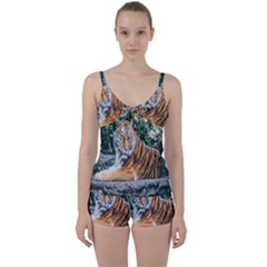 Animal Big Cat Safari Tiger Tie Front Two Piece Tankini by Celenk