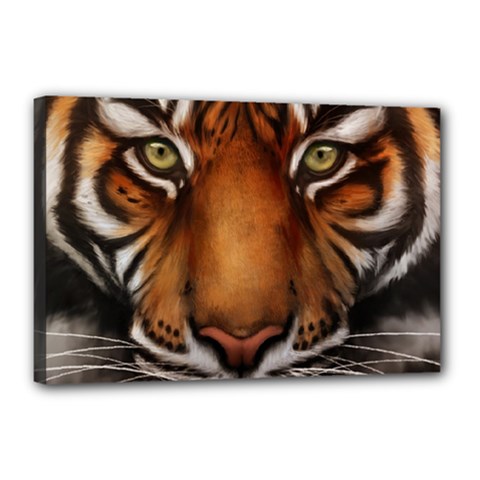 The Tiger Face Canvas 18  x 12 