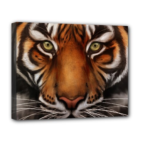 The Tiger Face Deluxe Canvas 20  X 16  