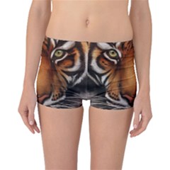 The Tiger Face Boyleg Bikini Bottoms