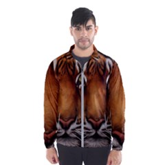 The Tiger Face Wind Breaker (Men)