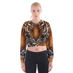 The Tiger Face Cropped Sweatshirt